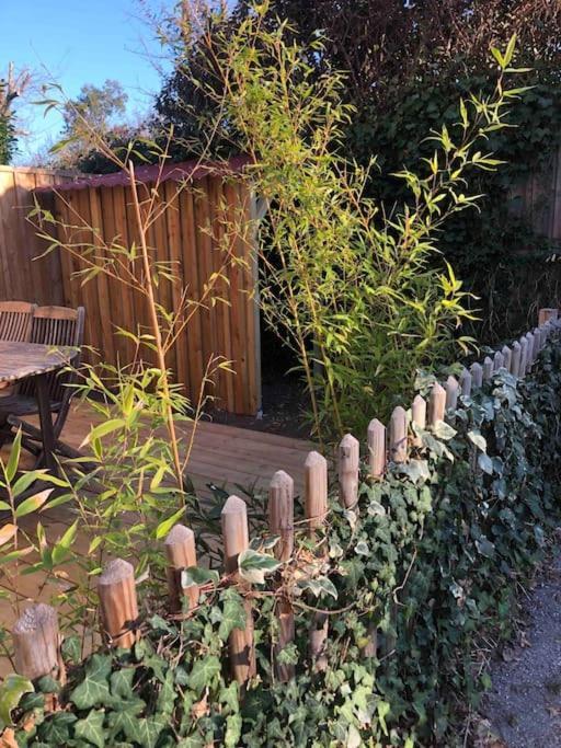 Au Calme, Maison T3 Neuf Avec Jardin A Cassy Lanton Eksteriør billede